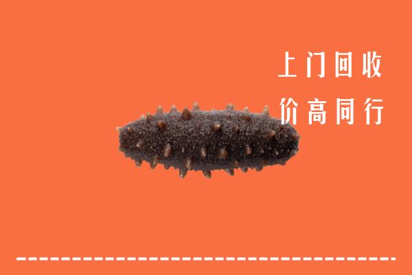 高价求购：保定涞源县回收海参