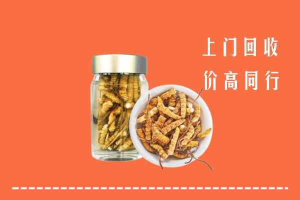 保定涞源县回收冬虫夏草