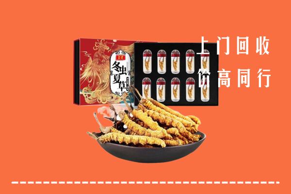 保定涞源县回收虫草